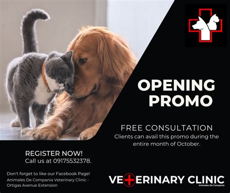 The Best 10 Veterinarians near Cainta, Rizal, Philippines .